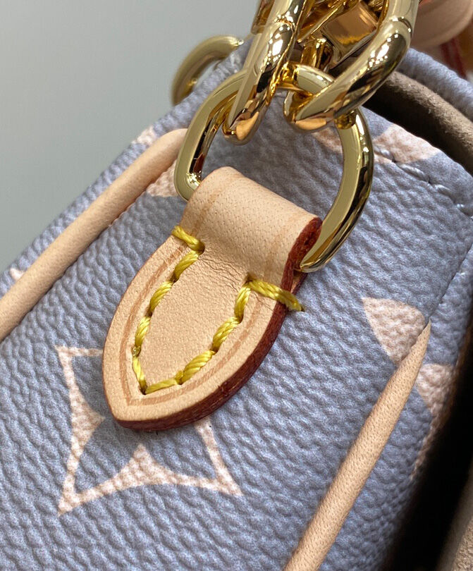 Louis Vuitton Wallet on Chain Ivy M12778 Gray